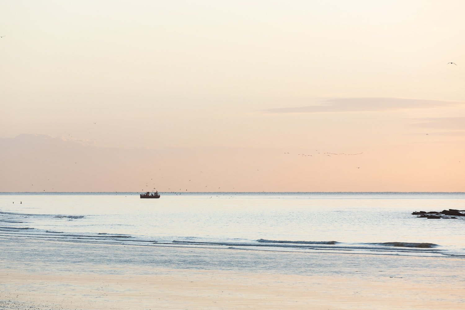 Cyclist emerging from shade on pretty country lane