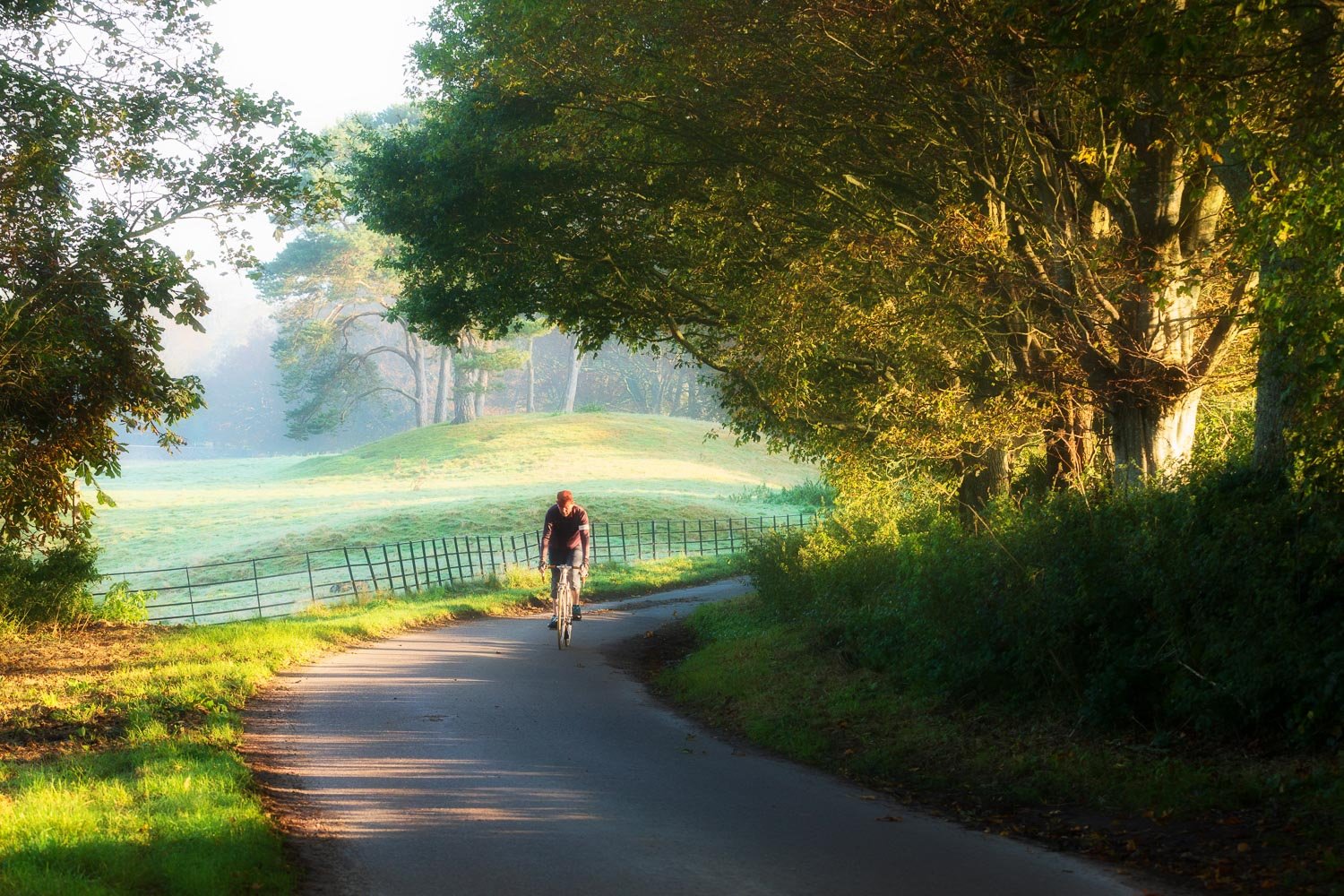 Cyclist emerging from shade on pretty country lane